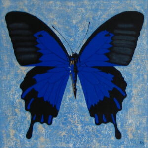 Vlinder 1
