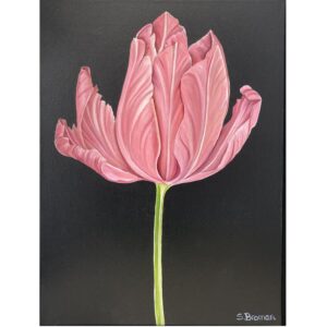 Tulp 1