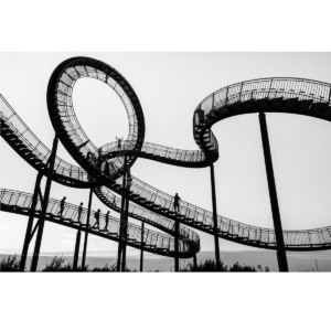 Tiger & Turtle